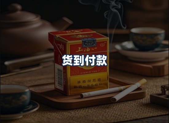 专业团队办公环境